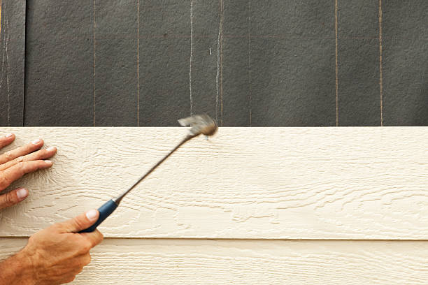 Best Aluminum Siding Installation  in Pontotoc, MS